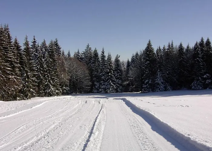 Klingenbrunn شقة *