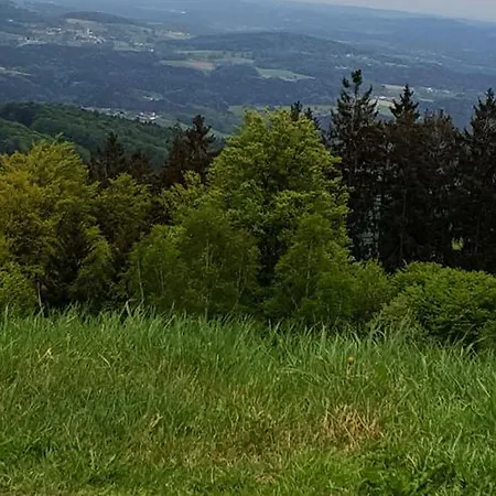 Klingenbrunn Daire Spiegelau